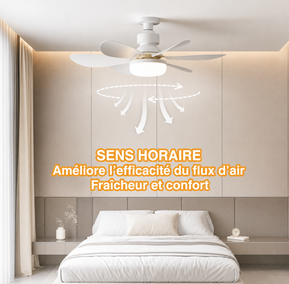 Ventilateur de Plafond LED AéroLume — Silencieux & Connecté